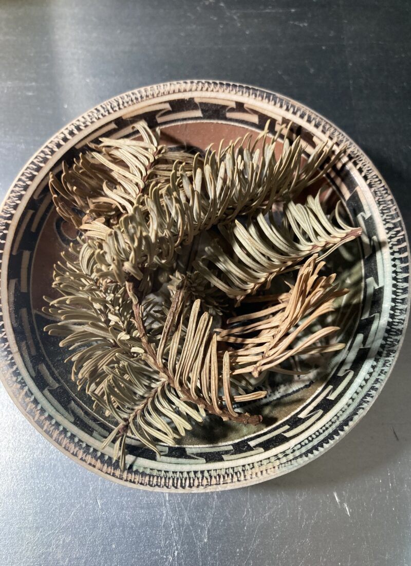 I Miss Christmas Already